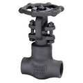 Forged Steel Threaded Gate Valve